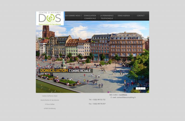 des consulting